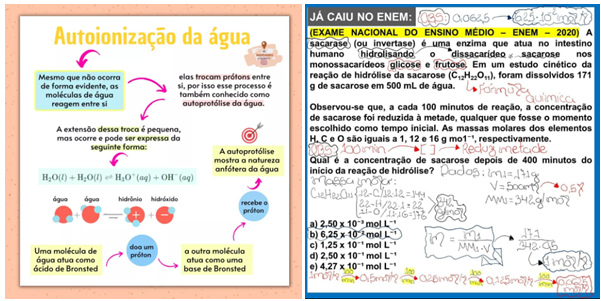 Formação acadêmica mais elevada dos divulgadores científicos.